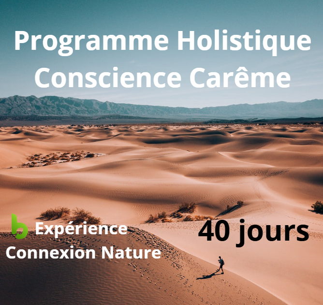 Programmes transformationnels