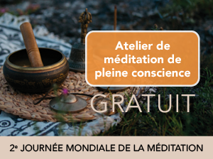 Meditation de la pleine conscience