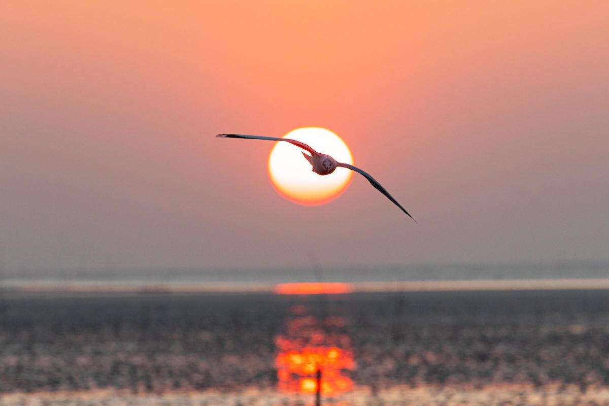 SPIRITUALITÉ : Reconquérir ma liberté d’être