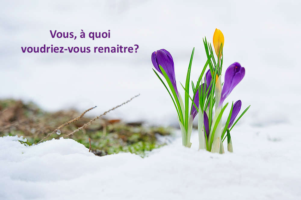 SPIRITUALITÉ : Mourir à qui j’étais pour renaitre à qui je suis