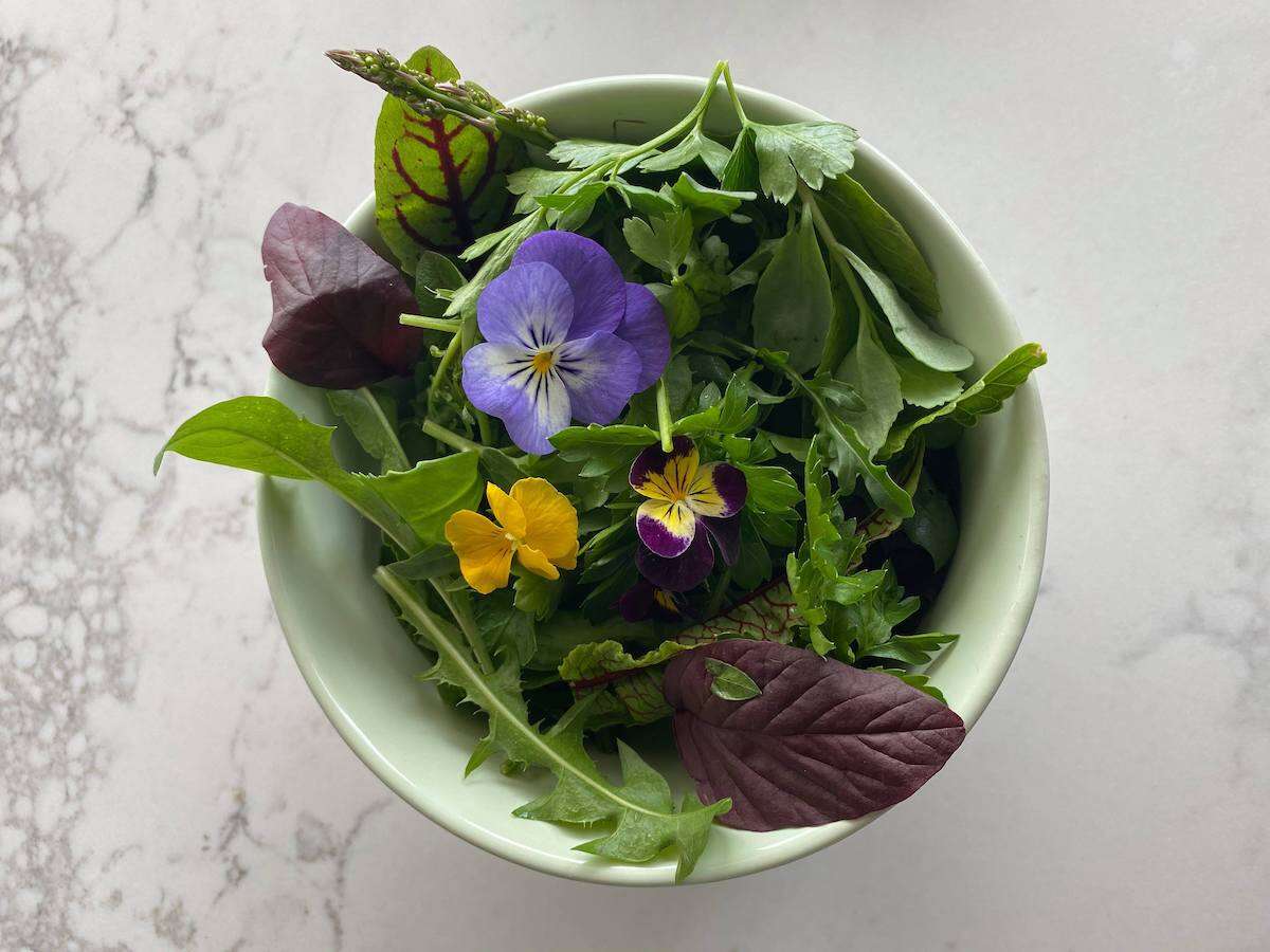 BIEN MANGER POUR MIEUX VIVRE : Ma croisade pour la Vie