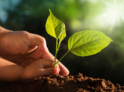 COEUR À COEUR: En Quête de sens