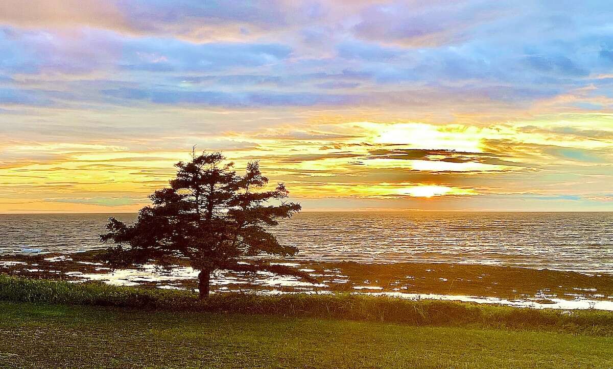 COEUR A COEUR : La souffrance - Source de Lumière avec Alexandre Jollien