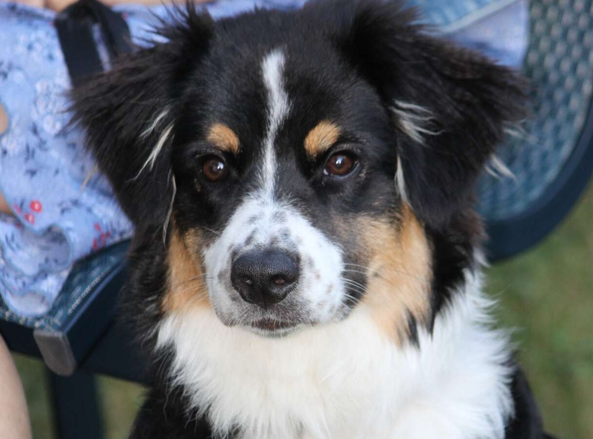 ÉDITORIAL : Un allié pour la Vie