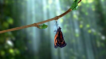 DOSSIER :  Ma fabuleuse Mission