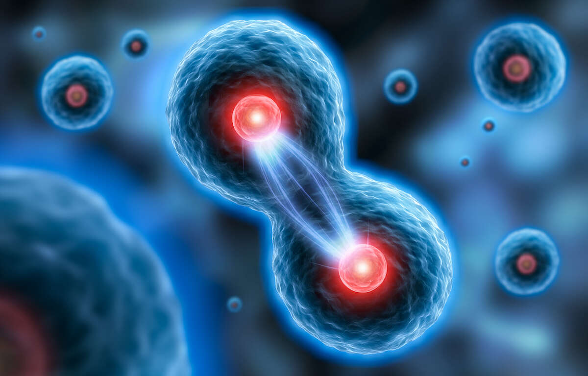 ÉDITO :  Mon premier jour, c’est aujourd’hui!