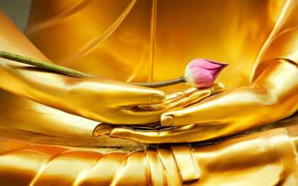 MON DOC ET MOI : L’autocompassion, un outil en Soi