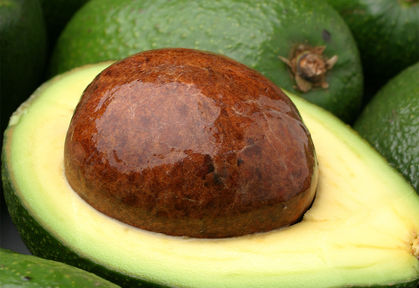 TRUCS ÉCOLOS - IDÉES BRILLANTES