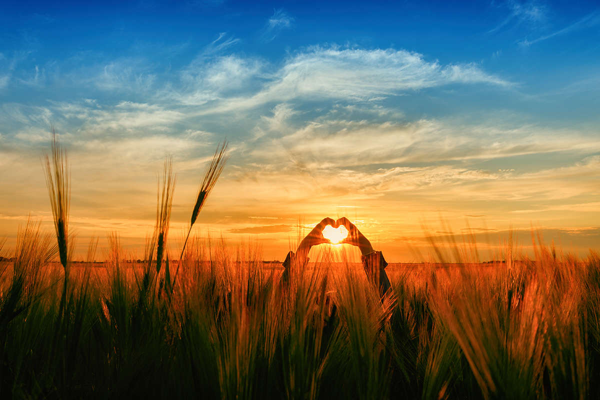 VIVRE À 2 :  Se dégager pour mieux s'engager