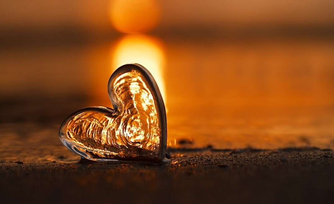 DOSSIER : Le Chemin de Vie le plus court?